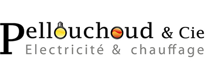 Pellouchoud & Cie